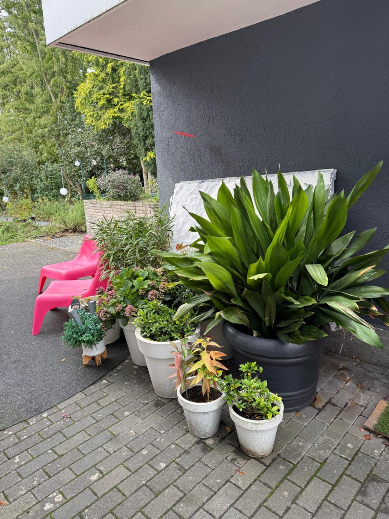 Modernes 1 Zimmerapartment Nahe Frankfurt Am Main Heusenstamm Ngoại thất bức ảnh